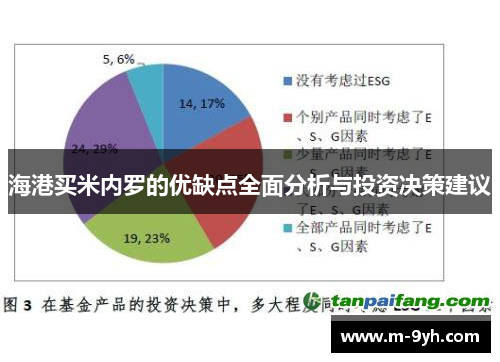 海港买米内罗的优缺点全面分析与投资决策建议