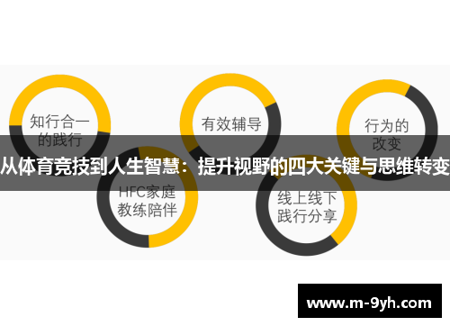从体育竞技到人生智慧：提升视野的四大关键与思维转变