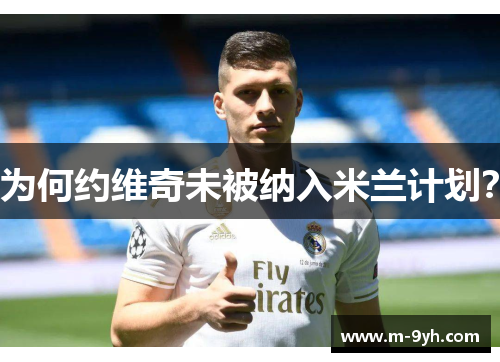 为何约维奇未被纳入米兰计划？
