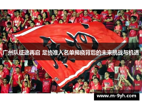 广州队征途再启 足协准入名单揭晓背后的未来挑战与机遇