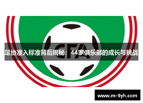 足协准入标准背后揭秘：44家俱乐部的成长与挑战