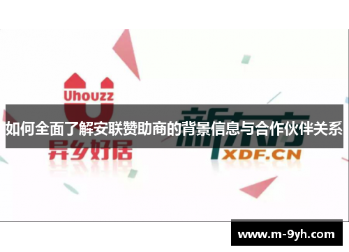 如何全面了解安联赞助商的背景信息与合作伙伴关系